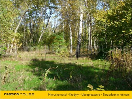 Działka rolna na sprzedaż Łódź, Bałuty 6 058m2 Foto 4