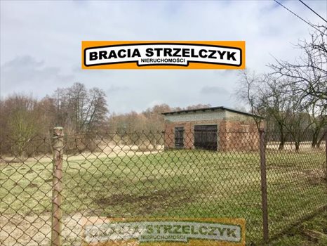 Działka rolna na sprzedaż Górka Powielińska 5 500m2 Foto 4