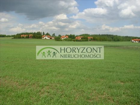 Działka rolna na sprzedaż Małkowo 3 172m2 Foto 3