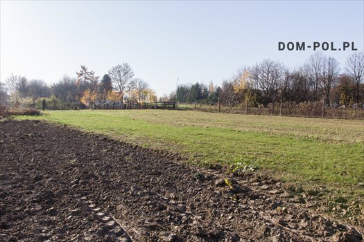Działka inna na sprzedaż Majdan Krasieniński 3 000m2 Foto 2