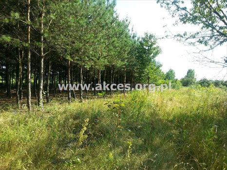 Działka budowlana na sprzedaż Gabryelin 1 000m2 Foto 3