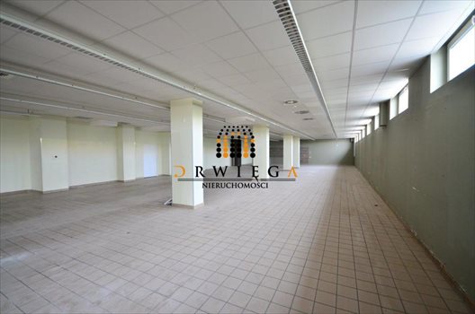 Lokal użytkowy na wynajem Gorzów Wielkopolski, Górczyn 985m2 Foto 1