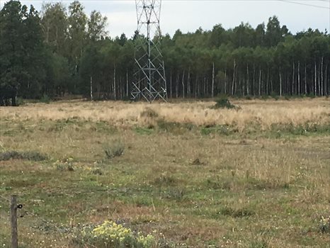 Działka rolna na sprzedaż Likiec, brak 17 600m2 Foto 3