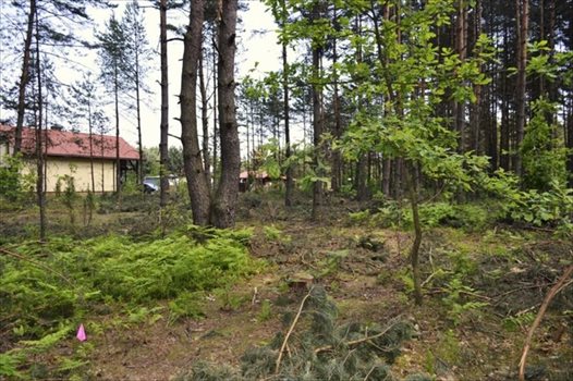 Działka rekreacyjna na sprzedaż Żarki-Letnisko 1 000m2 Foto 6