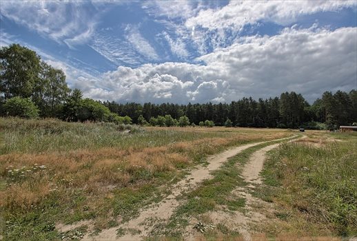 Działka budowlana na sprzedaż Brzózki 2 815m2 Foto 1