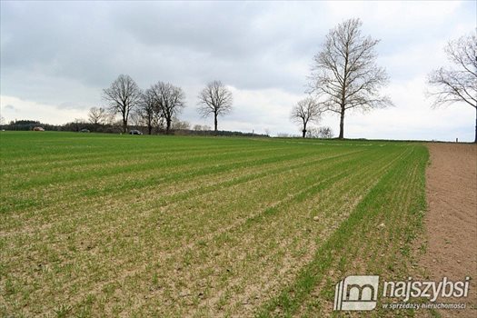 Działka inna na sprzedaż Rokocin 20 694m2 Foto 3