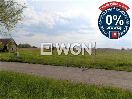 Działka inna na sprzedaż Krzywe 3 000m2 Foto 3
