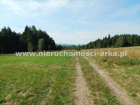 Działka budowlana na sprzedaż Kasina Wielka 1 800m2 Foto 2
