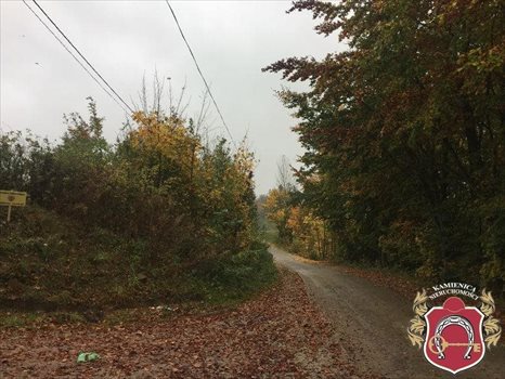 Działka budowlana na sprzedaż Łapino, Łapino Kartuskie, okolice Brzozowa 1 000m2 Foto 11