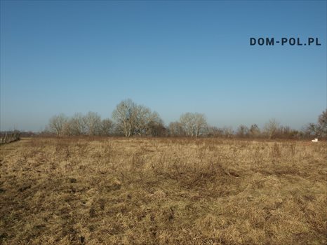 Działka inwestycyjna na sprzedaż Łęczna 17 923m2 Foto 2