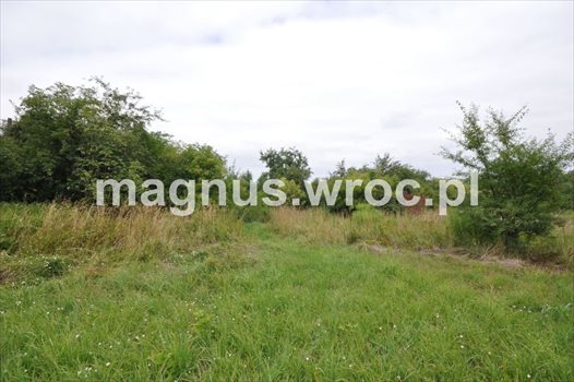 Działka budowlana na sprzedaż Domanice 5 100m2 Foto 6