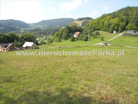 Działka budowlana na sprzedaż Kłodne 1 800m2 Foto 4
