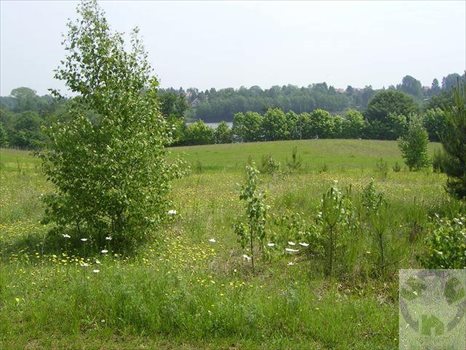 Działka inna na sprzedaż Kamień, Tymiankowa 1 532m2 Foto 8