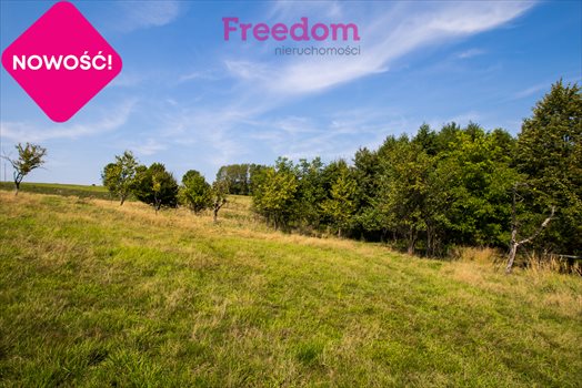 Dom na sprzedaż Kąkolówka 131m2 Foto 3