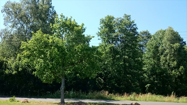 Dom na sprzedaż Garwolin, Garwolin okolice 242m2 Foto 8