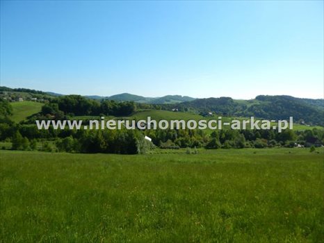Działka budowlana na sprzedaż Limanowa 1 060m2 Foto 1