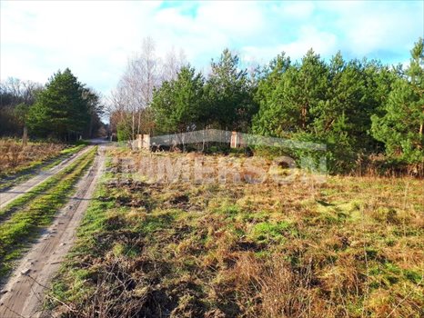 Działka budowlana na sprzedaż Prażmów, Łoś 1 000m2 Foto 4