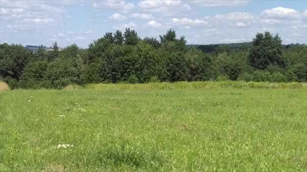 Działka inna na sprzedaż Masłomiąca 1 500m2 Foto 4