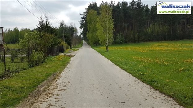 Działka budowlana na sprzedaż Włodzimierzów 3 500m2 Foto 2