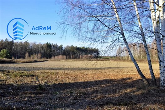 Działka budowlana na sprzedaż Warszawa, Ursynów, Prawdziwka 1 800m2 Foto 2