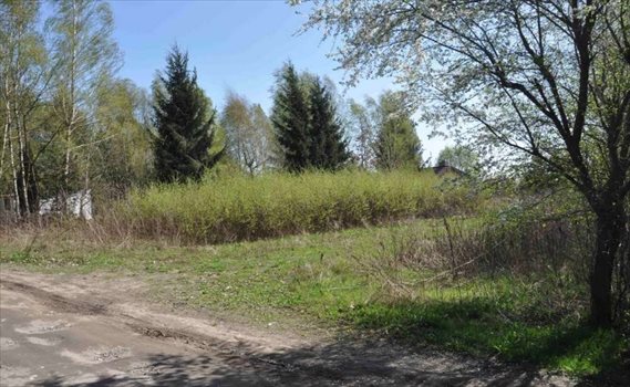 Działka budowlana na sprzedaż Promienko, Tawułowa 1 200m2 Foto 3