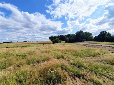 Działka budowlana na sprzedaż Kościerzyna, Centrum handlowe, Jezioro, Kościół, Las, Plac zaba 2 059m2 Foto 1