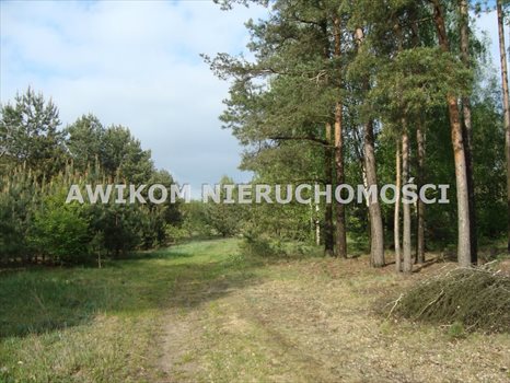 Działka rekreacyjna na sprzedaż Musuły 1 600m2 Foto 4