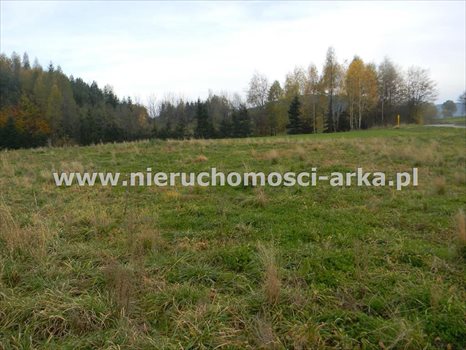 Działka budowlana na sprzedaż Żegocina 3 100m2 Foto 3