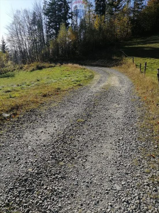 Działka budowlana na sprzedaż Jeleśnia 42 000m2 Foto 4