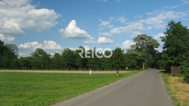 Działka budowlana na sprzedaż Tomaszowice-Kolonia 18 400m2 Foto 1