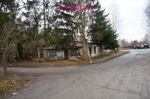 Działka inna na sprzedaż Dębina 5 700m2 Foto 2
