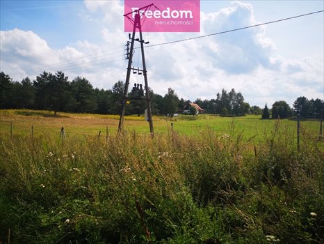 Działka budowlana na sprzedaż Orzechowo 25 000m2 Foto 7