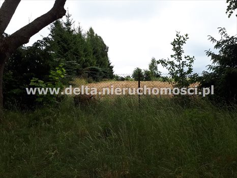 Działka budowlana na sprzedaż Izbica 1 248m2 Foto 11