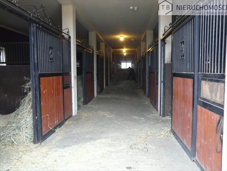 Działka inna na sprzedaż Szamotuły 15 890m2 Foto 5