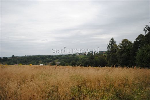 Działka inna na sprzedaż Wola Nieszkowska 9 300m2 Foto 1