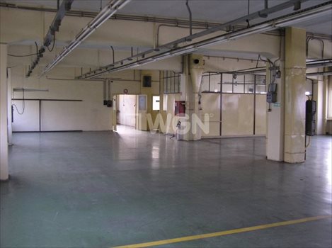 Lokal użytkowy na sprzedaż Ostrów Wielkopolski, miasto Ostrów Wlkp. 1 870m2 Foto 4