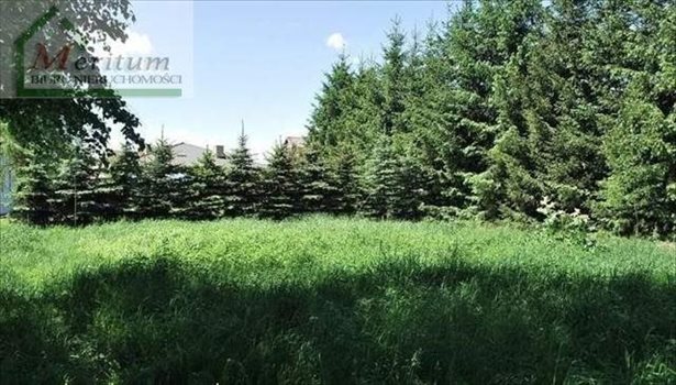 Działka budowlana na sprzedaż Nowy Sącz 800m2 Foto 2