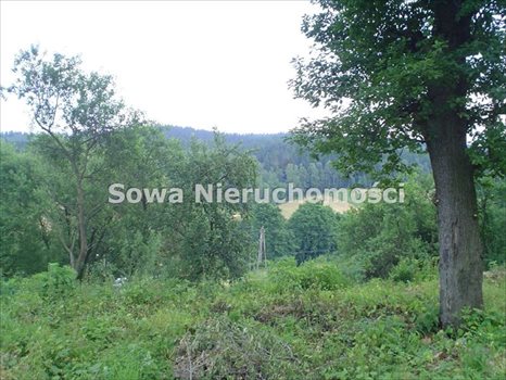 Działka budowlana na sprzedaż Wałbrzych, Stary Glinik 449m2 Foto 4
