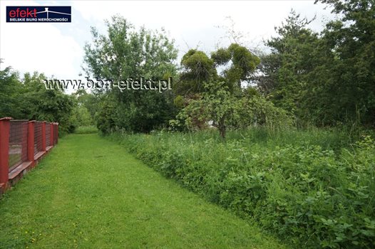 Działka budowlana na sprzedaż Jasienica 727m2 Foto 3