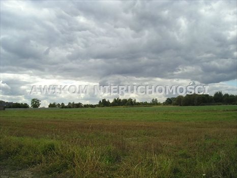 Działka budowlana na sprzedaż Skierniewice, Miedniewice 5 260m2 Foto 4