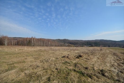 Działka rekreacyjna na sprzedaż Drohobyczka 5 800m2 Foto 5