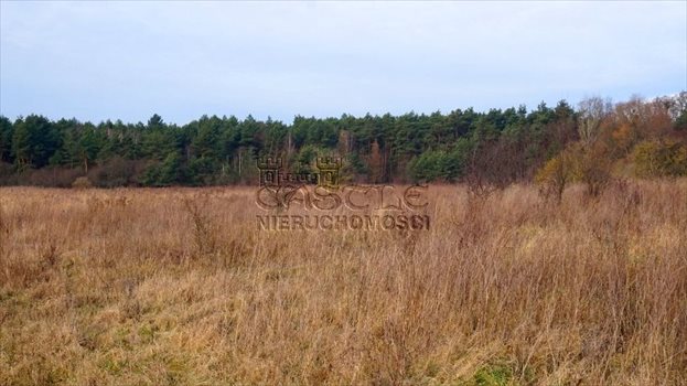 Działka budowlana na sprzedaż Kicin, Nagietkowa 1 496m2 Foto 7