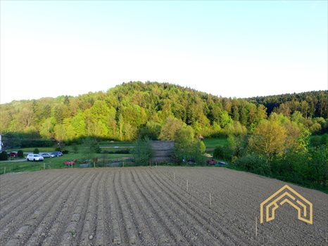 Działka budowlana na sprzedaż Lecka 5 000m2 Foto 1