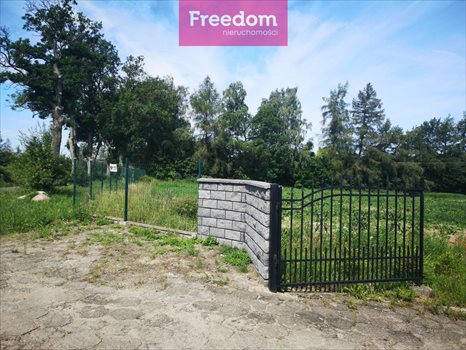 Działka budowlana na sprzedaż Osieki Lęborskie 3 752m2 Foto 3