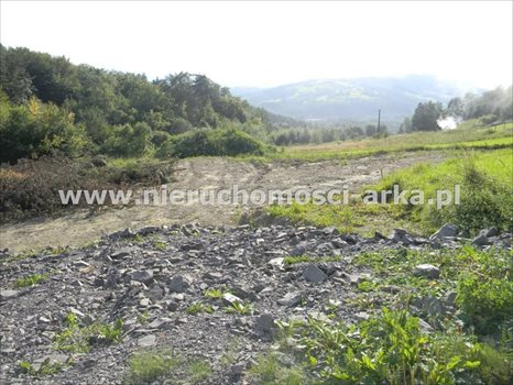 Działka budowlana na sprzedaż Limanowa, Sowliny 3 400m2 Foto 7