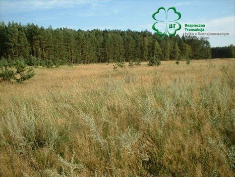 Działka budowlana na sprzedaż Silna, Silna 2 300m2 Foto 3
