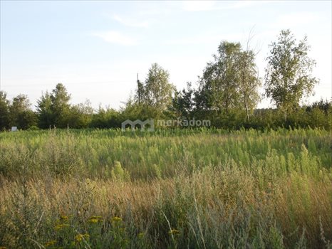 Działka inna na sprzedaż Dąbrówka Leśna 6 899m2 Foto 5