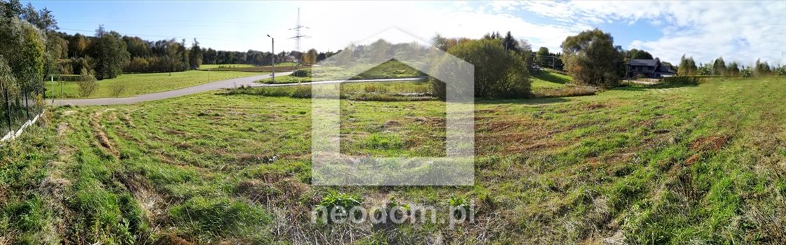 Działka budowlana na sprzedaż Lusina, Zdrojowa 4 300m2 Foto 3