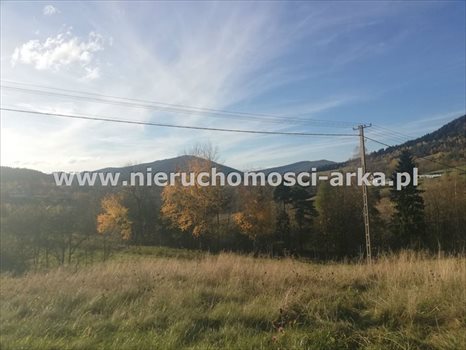 Działka budowlana na sprzedaż Chyszówki 2 566m2 Foto 2