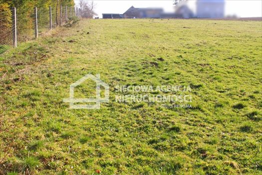 Działka budowlana na sprzedaż Tokary 1 346m2 Foto 4